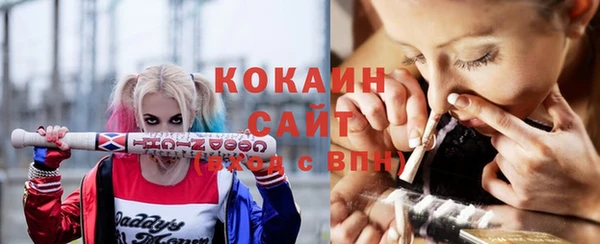индика Алзамай