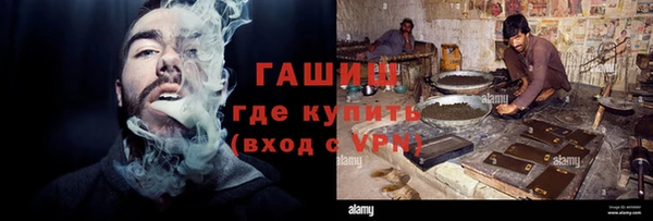 индика Алзамай