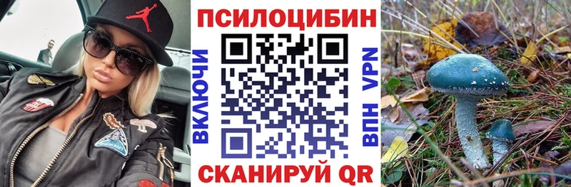 мориарти состав  Сураж  Галлюциногенные грибы мухоморы 