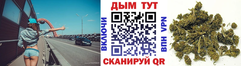 Шишки марихуана конопля Сураж